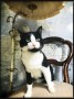 Charlie (1)